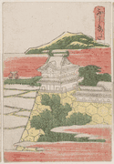 #23 Fujieda
