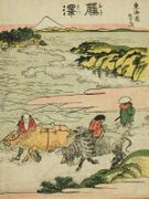 #7 Fujisawa