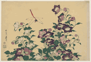 Bellflower and Dragonfly