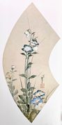 Bellflowers