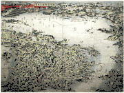 Birds Eye View Over the Chiba Peninsula