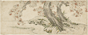 Blossoming Cherry Trees by a Stream