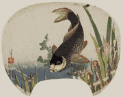 Carp in a Pond
