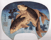 Carp in a Pool