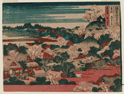 Cherry Blossoms on Asuka Hill in Edo