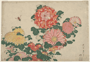 Chrisanthemums and Horsefly