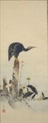 Cormorant on Stump