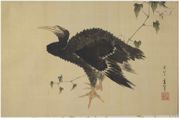 Cormorant Standing