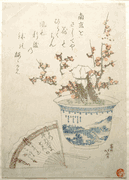 Fan and Dwarf Plum Tree