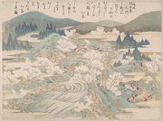 Flowering Cherry Trees Along the Yoshino River