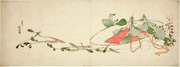 Flowers and Spring Greens in a Hat