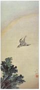 Flying Cuckoo under a Rainbow