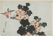 Hibiscus and Sparrow
