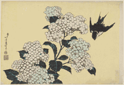 Hydrangeas and Swallow