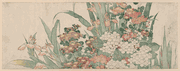 Iris Hydrangea Pinks and Chrysanthemums