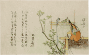 Kachoka Parrots on Branch