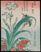 Kingfisher with Iris and Wild Pinks
