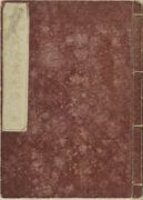 Manga Vol. 9 