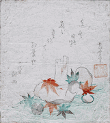 Maple Leaves and Mushrooms