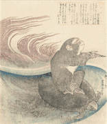 Monkey Riding a Turtle
