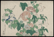 Morning Glories and Tree Frog