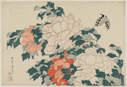 Peonies and Butterfly
