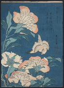 Peonies and Canary