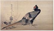 Pheasant
