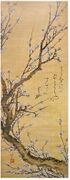 Plum Tree