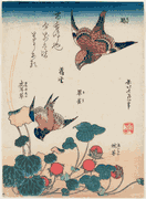 Shrike and Bluebird with Begonia and Wild Strawberry