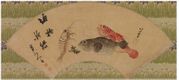 Shrimp and Fish