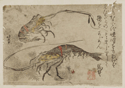 Shrimp and Seaweed