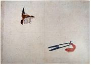 Sparrow and Scissors