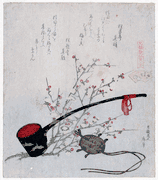 The Plum Blossom Shell