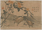 Two Turtles and Kerria Roses