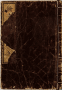 Volume 5