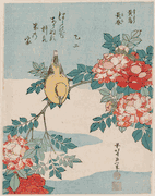 Warbler and Roses