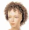 Beverly Johnson Human Half Wig HHW10 Beverly Johnson Human Half Wig HHW10