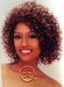 Femi Premium Synthetic Wig Sassy Femi Premium Synthetic Wig Sassy