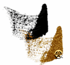 KleanColor Double Agent II (GMS415) GOLD