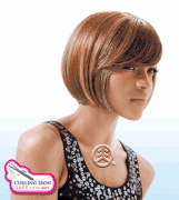 Shake N Go Equal Premium Layer 4Pcs Weaving Hair