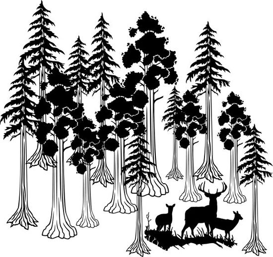 Giant Redwood Sequoia Tree with Deer Family Kit Wall Decals