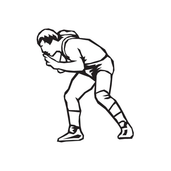 Wrestling Wall Decal Vinyl Decal Car Decal DC 005