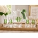 Acrylic Pitcher & Glasses