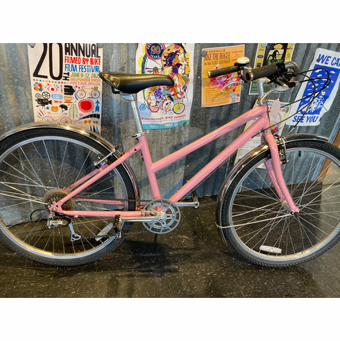 Pink City Bike