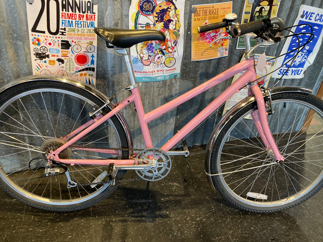 Pink City Bike