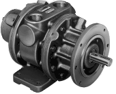 Gast 16AM-FRV-13 Air Motor