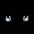 Horseshoe  Earrings & 5mm CZ