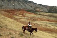 Lone Rider