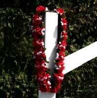 Traditional Single Continuous Strand Champion Rose Garland With No Information Plate